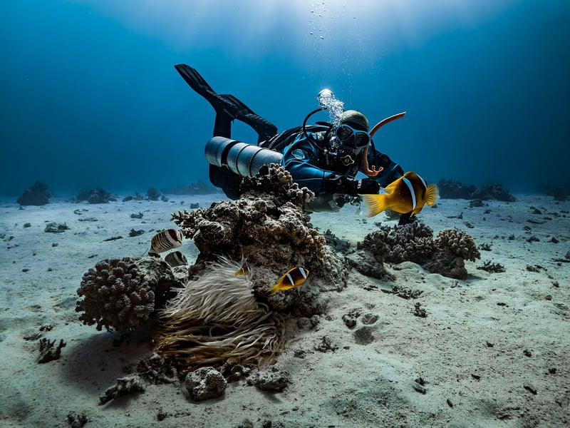 Water Gear