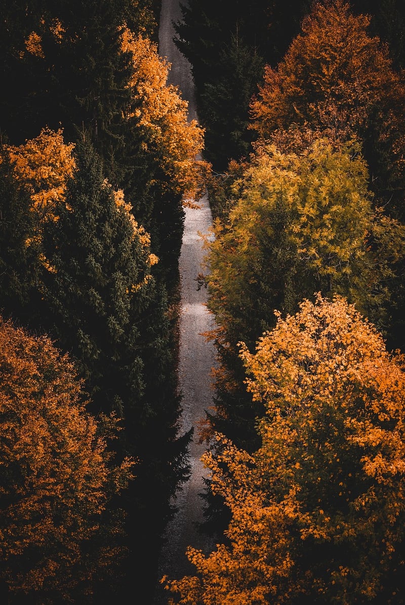 Hiking in the wilderness